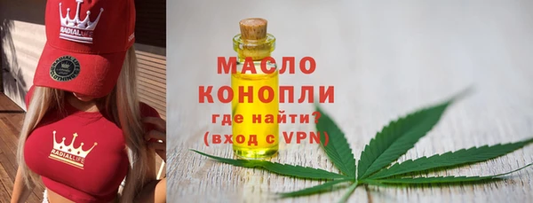 ГАЛЛЮЦИНОГЕННЫЕ ГРИБЫ Козловка