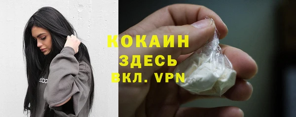 spice Арсеньев