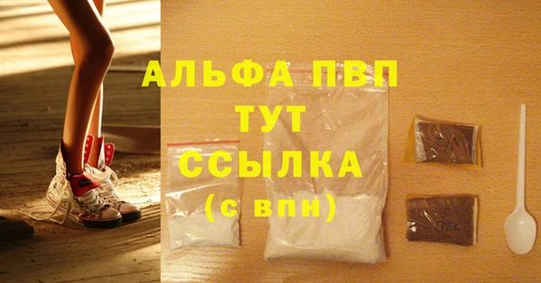 эйфоретик Аркадак