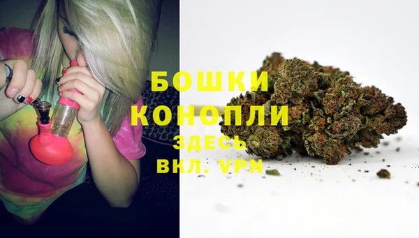 spice Арсеньев