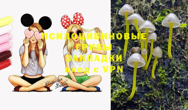spice Арсеньев