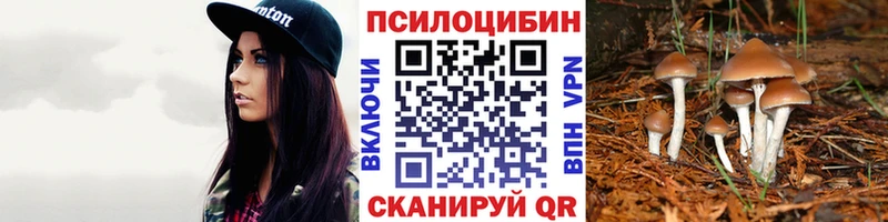купить наркоту Осинники Галлюциногенные грибы Psilocybine cubensis
