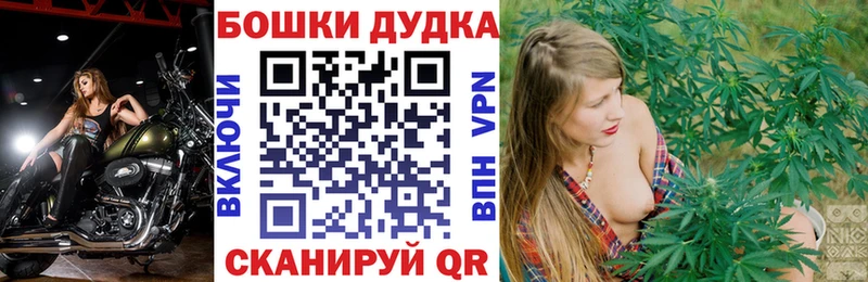 Бошки марихуана марихуана  KRAKEN ссылка  Осинники 